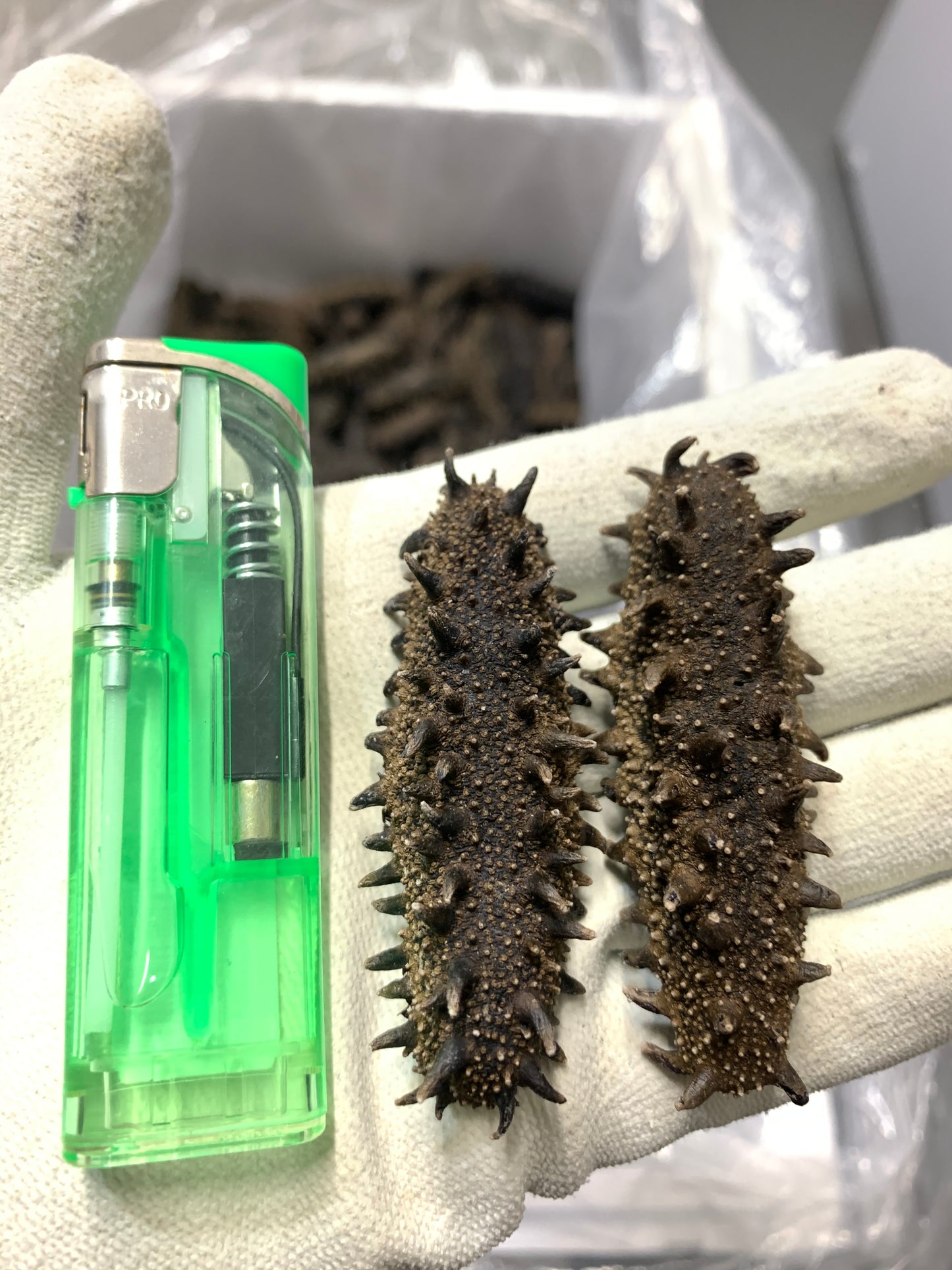 北海道産 淡乾ナマコ【特撰長棘】 (コピー) (コピー)