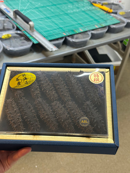 北海道産　淡乾ナマコ【特選長棘】