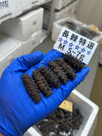 北海道産　淡乾ナマコ【特選長棘】