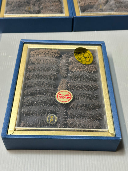 北海道産　淡乾ナマコ【特選長棘】