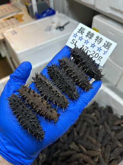 北海道産　淡乾ナマコ【特選長棘】