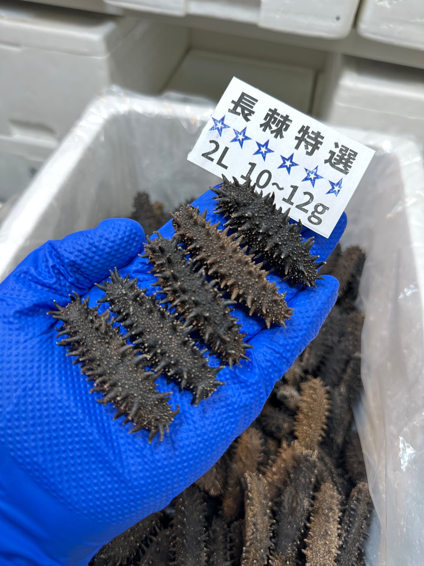 北海道産　淡乾ナマコ【特選長棘】