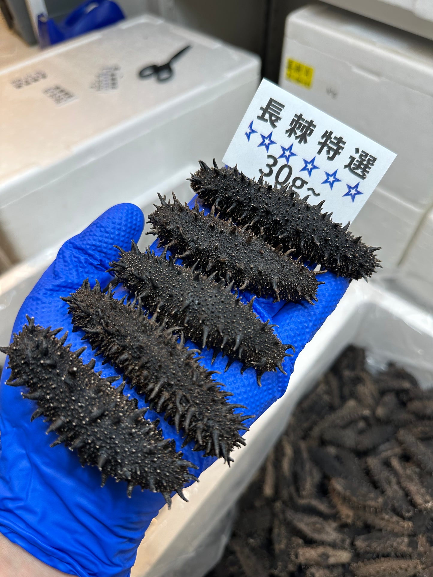 北海道産　淡乾ナマコ【特選長棘】