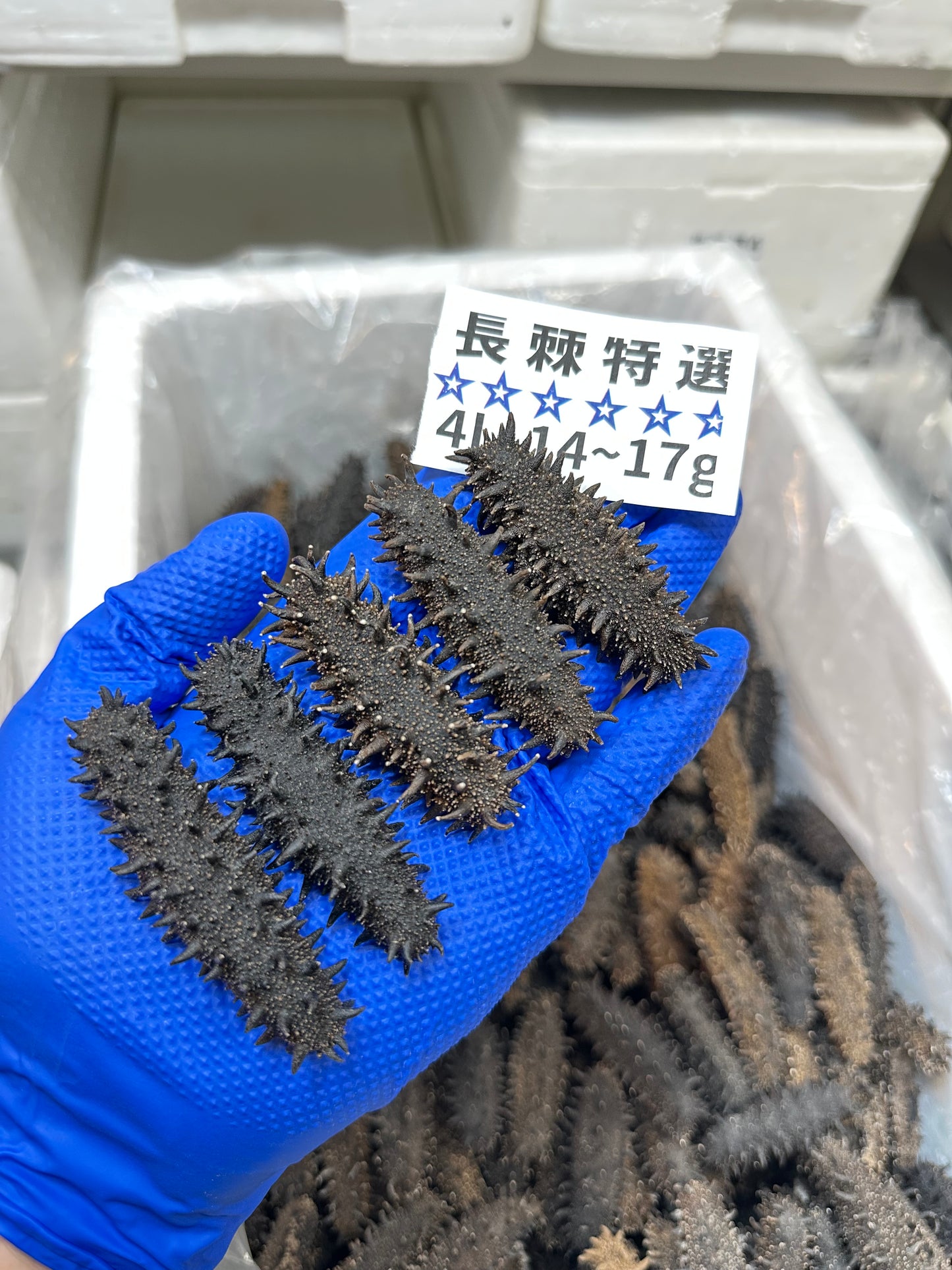 北海道産　淡乾ナマコ【特選長棘】