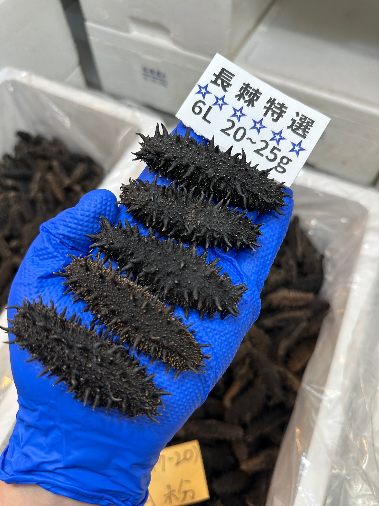 北海道産　淡乾ナマコ【特選長棘】