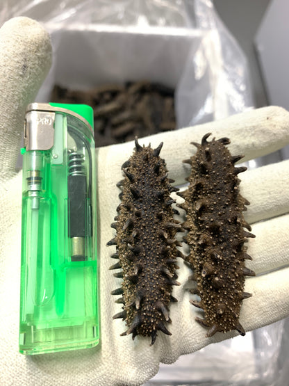 北海道産　淡乾ナマコ【特撰長棘】 (コピー) (コピー)