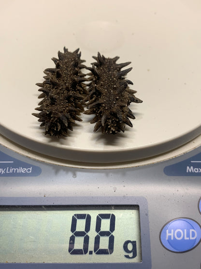 北海道産　淡乾ナマコ【特撰長棘】 (コピー) (コピー)