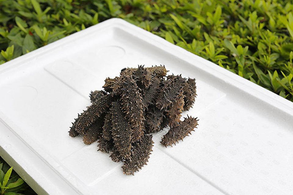 プライバシーポリシー